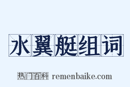 水翼艇组词是什么意思的图片